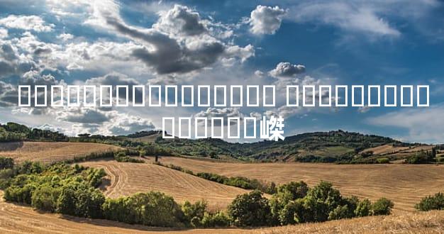 ����������̼����� ����������ȫ��ϸ�嵥